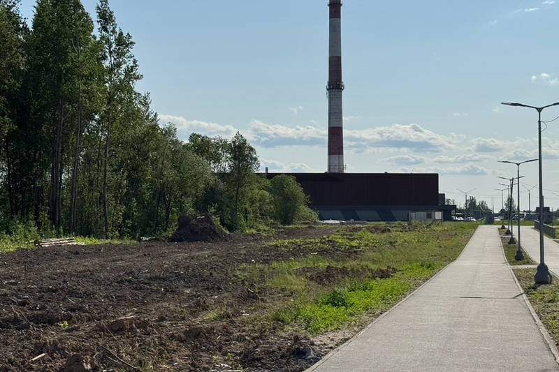Фото: соцсета Романа Маслова.