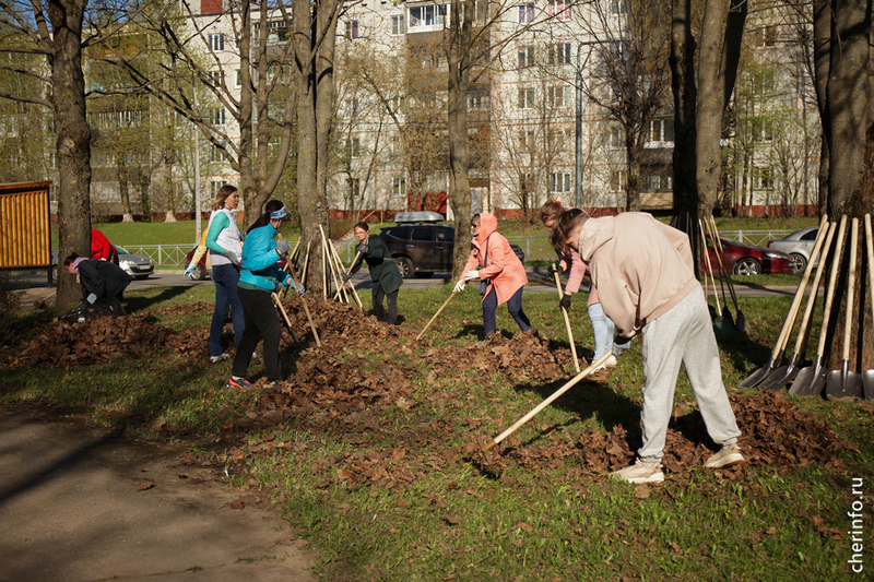 В апреле в Череповце начнутся городские субботники.