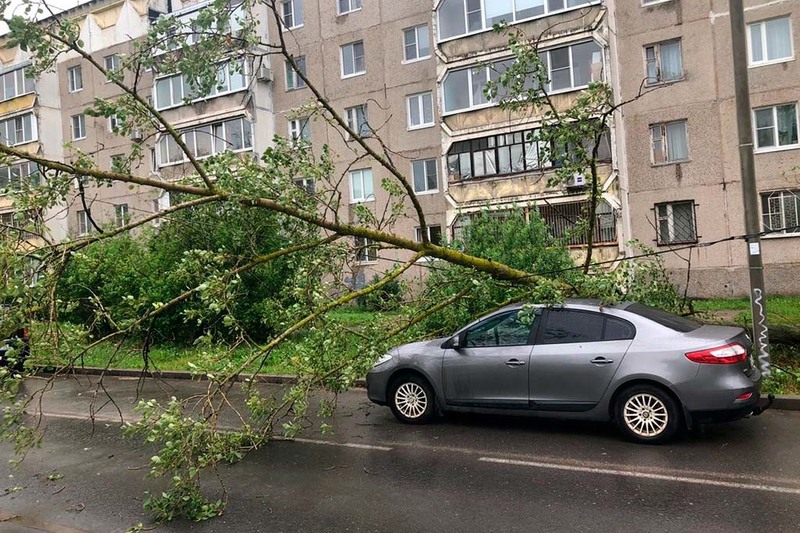 Фото: соцсета Романа Маслова.