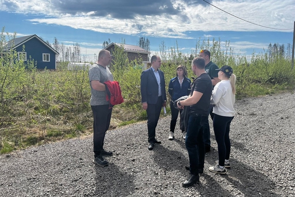 В Пуловском лесу уберут больные и поваленные ветром деревья.