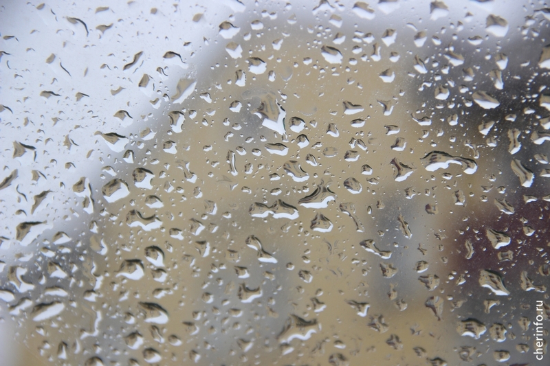 В Череповце из-за дождя перенесли шествие школьников и учителей.