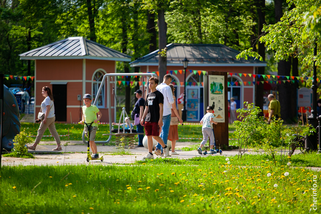 Череповчане могут получить 50 тысяч за ролик о городе.