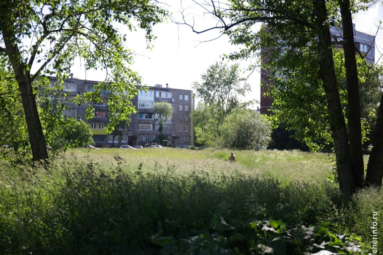В Заречье пустырь превратят в первую «городскую гостиную». В Заречье пустырь превратят в первую «городскую гостиную».