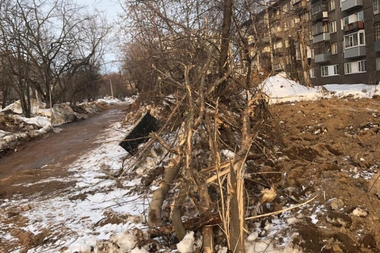 На Устюженской из-за строительства дома незаконно вырубили деревья. На Устюженской из-за строительства дома незаконно вырубили деревья.