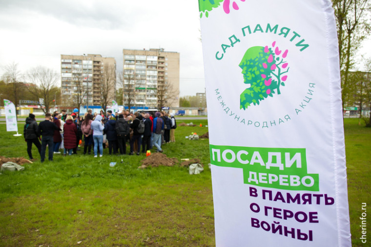 В сквере на Архангельской посадили «Сад памяти». В сквере на Архангельской посадили «Сад памяти».