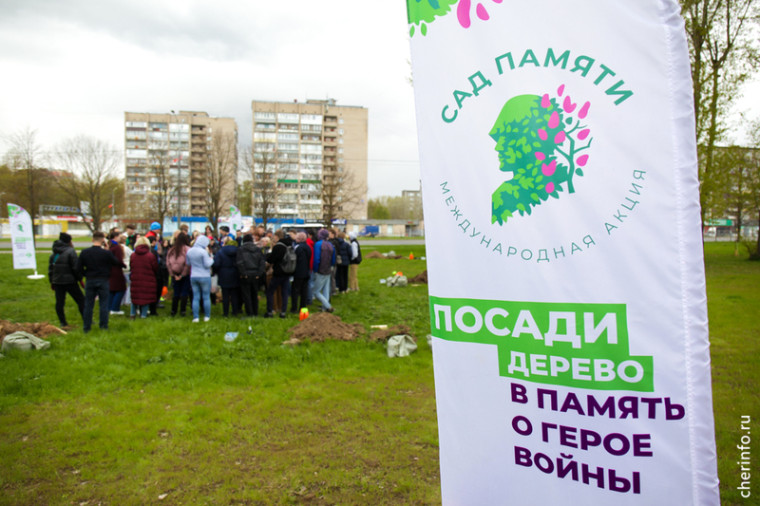 В сквере на Архангельской посадили «Сад памяти».