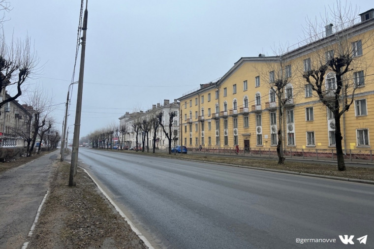 На Сталеваров высадят 78 взрослых лип. На Сталеваров высадят 78 взрослых лип.