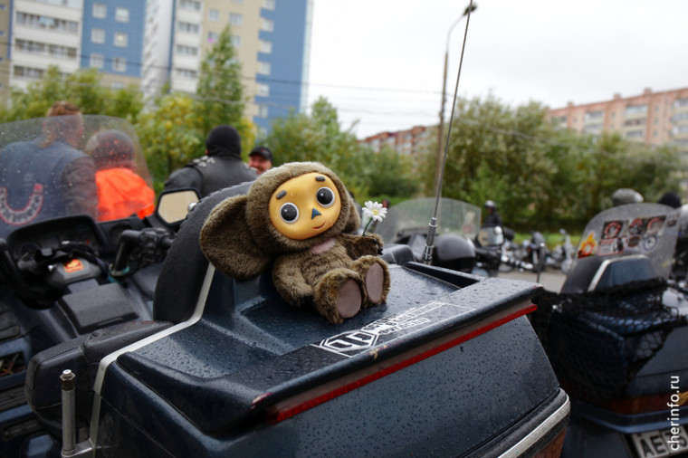 В Череповце 300 байкеров закроют сезон мотопробегом. В Череповце 300 байкеров закроют сезон мотопробегом.