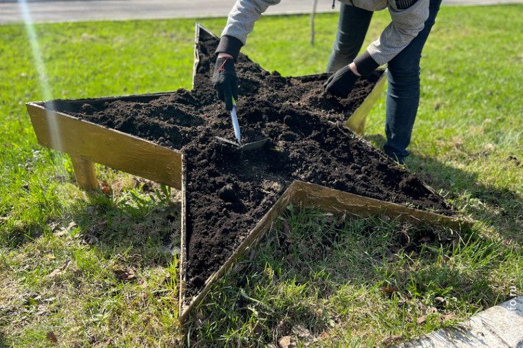 На воинском мемориале в Череповце высадят больше трех тысяч красных виол.