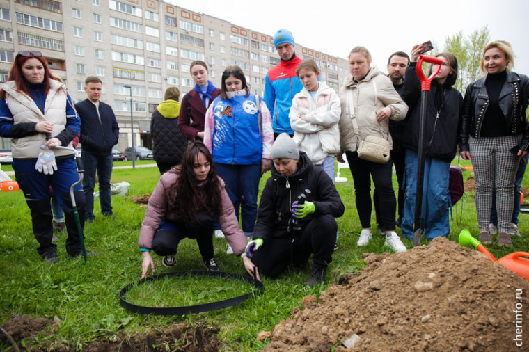 В сквере на Архангельской посадили «Сад памяти».
