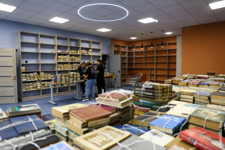 В Череповце художники из Подмосковья распишут фасад библиотеки.